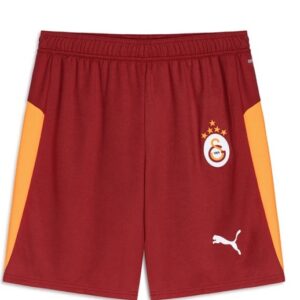 Galatasaray Puma 2025/2026 İç Saha Parçalı Şort